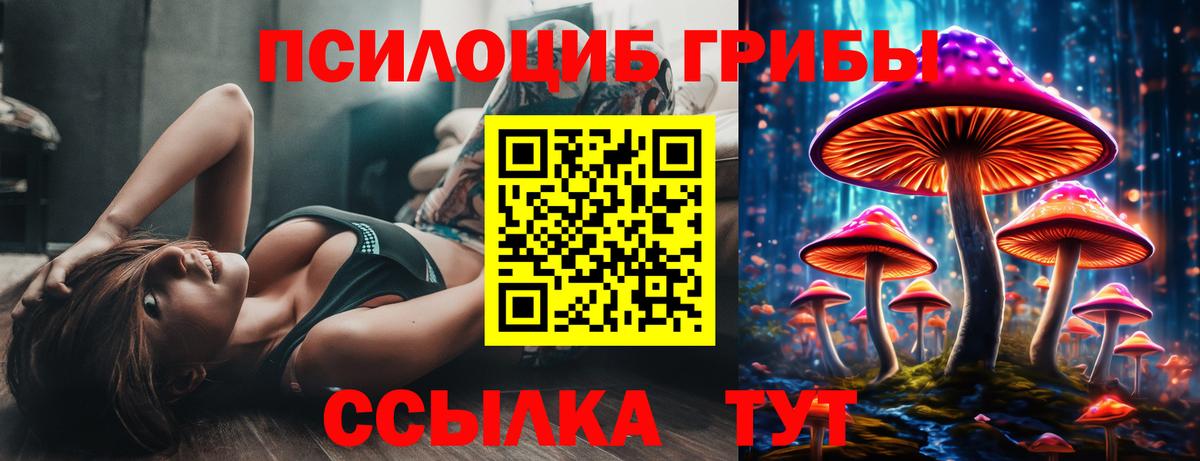 Галлюциногенные грибы Psilocybine cubensis Ливны