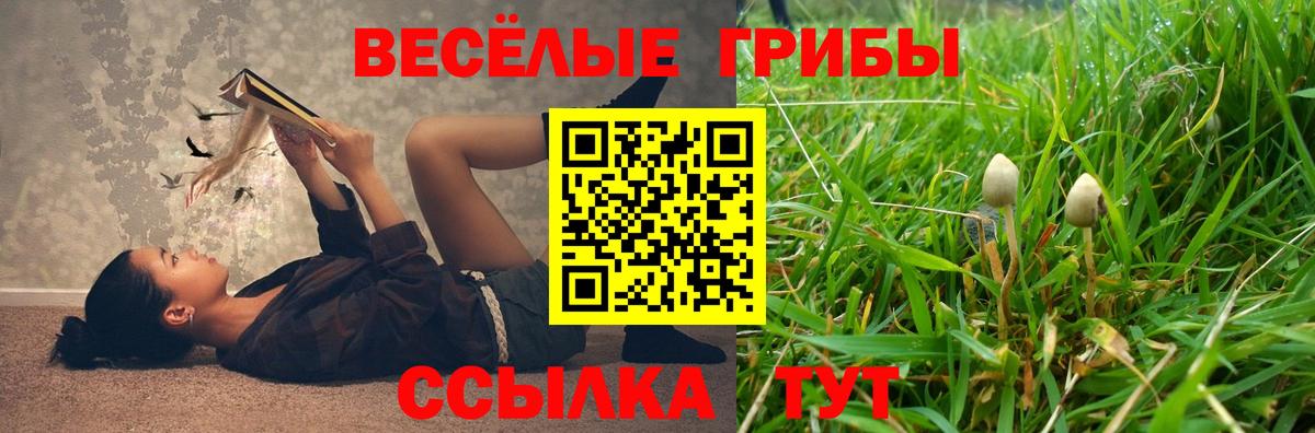 Ливны  Галлюциногенные грибы MAGIC MUSHROOMS  Вход с VPN 